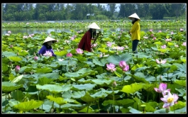 Xuôi về miền Tây, Hưng Thịnh chia sẻ khó khăn cùng bà con nghèo Châu Đốc - An Giang